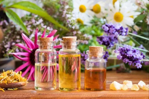 Scientific benefits of essential oils and their relevance in modern wellness